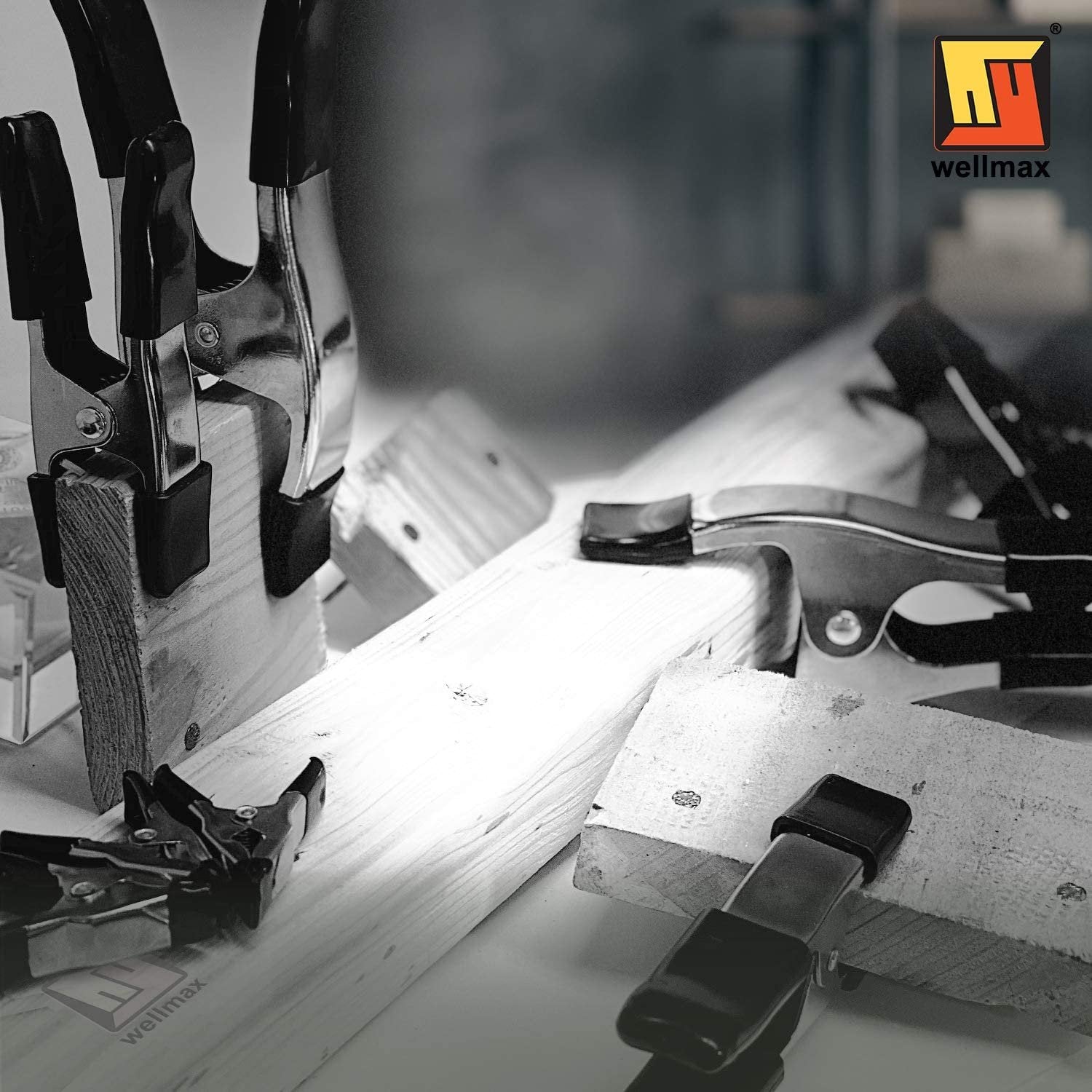 Wellmax 16PC Metal Spring Clamps Set, Heavy Duty Clips for Clamp Woodworking and Backdrops, 8pc 2 inch, 4pc 4 inch and 4pc 6 inch