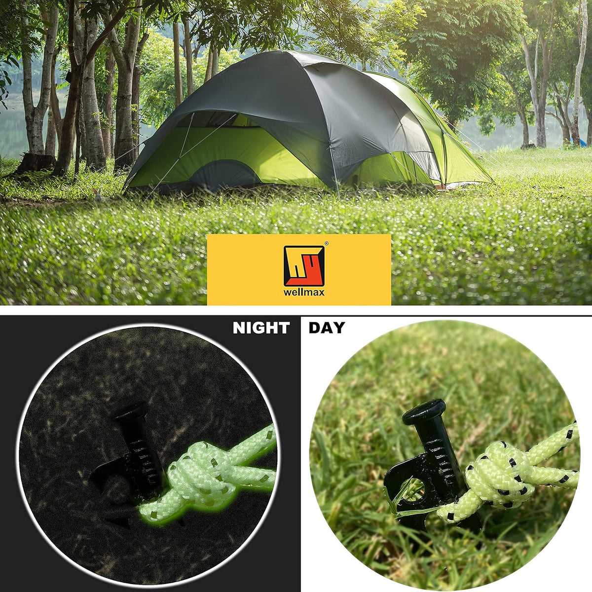 Wellmax 10PC Heavy Duty Tent Stakes with 2PC Glow in Dark Rope 3/16" x50ft and 1/4" x50ft (Black)