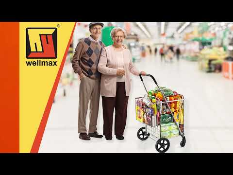 Wellmax Metal Grocery Shopping Cart with Wheels for Groceries, Folding Cart for Convenient Storage and Holds Up to 66lbs, Dual Swivel Wheels and Extra Basket, Silver